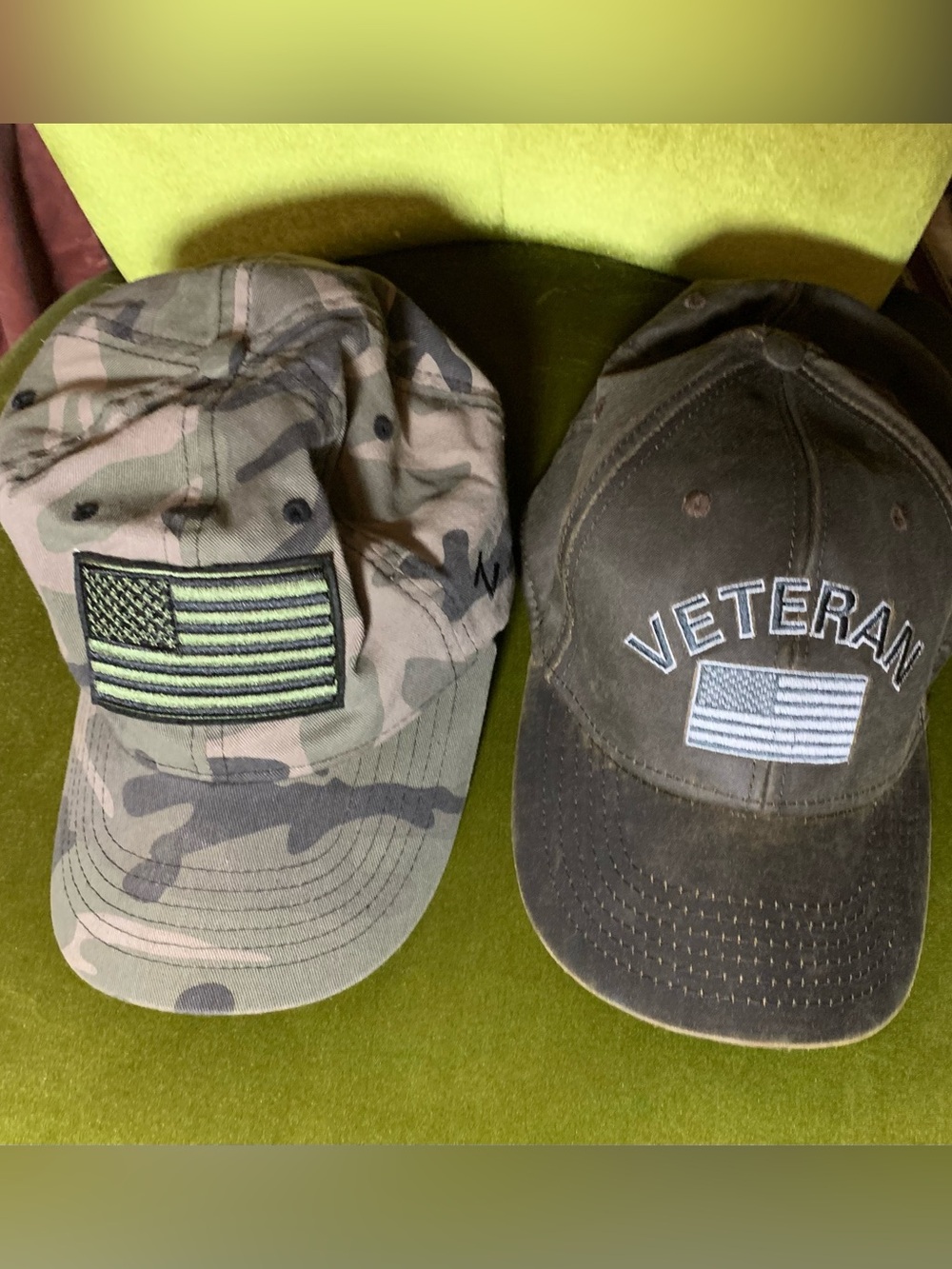Pair of veterans hats